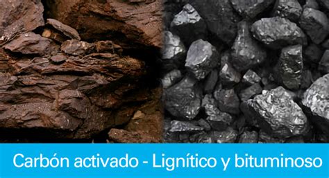 ¿cuál Es La Diferencia Entre Un Carbón Activado Lignítico Y Un Bituminoso
