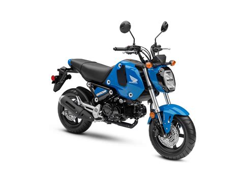 Check out our 2022 honda grom first look video. 2022 Honda Grom Guide • Total Motorcycle