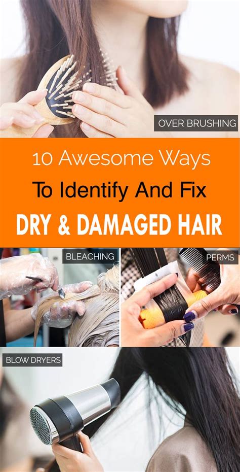 But, dry hair doesn't only come from excessive styling tools use—it can come from swimming in pools, laying in the sun for too long, washing your hair too often, and poor nutrition. Damaged Hair: How To Repair And Care For It | Damaged hair ...