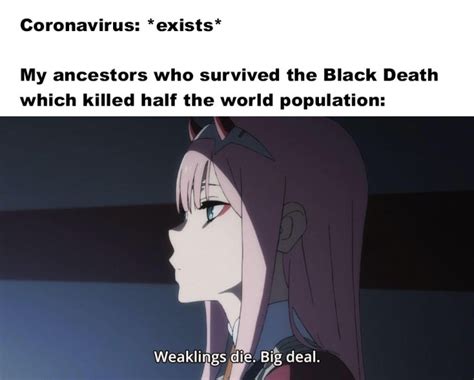If you place your hopes in anything, they will be betrayed. Funny Darling In The Franxx Season 2 Memes