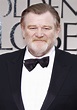 Brendan Gleeson | Unbreakable Wiki | Fandom