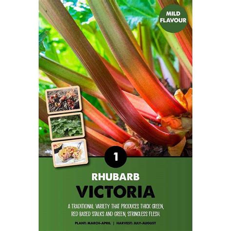 Rhubarb Victoria Vegetable Bulbs Arboretum Garden Centre
