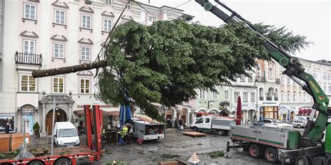 Check spelling or type a new query. Der Linzer Weihnachtsbaum 2019 kommt aus Freistadt