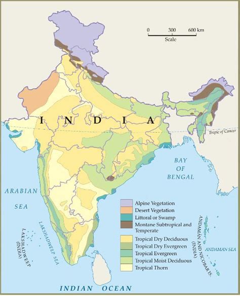 Forestry Forest Types Map India