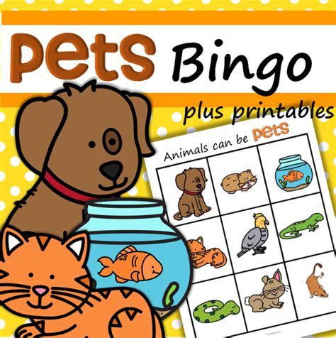 Pets Bingo For Preschool And Pre K