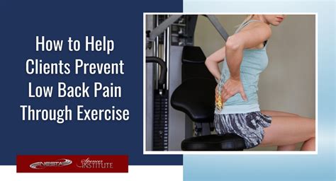 Low Back Pain Treatment Options Anatomy Causes And Exercise