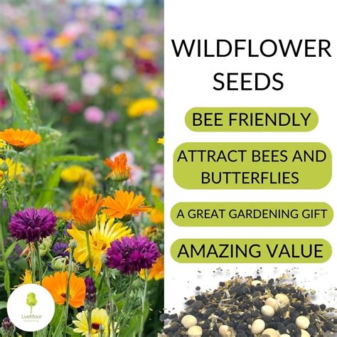 Wild Flower Seeds Livemoor Save The Uk Bees Various Sizes Ebay