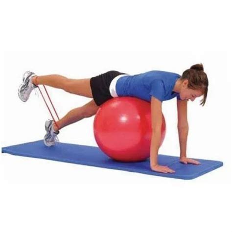 Ody Exercise Workout Anti Burst Gym Ball Yoga Ball Fitness Ball With Foot Pump 75 Cm At Rs 399