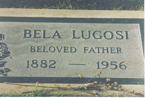Bela Lugosi Grave Lugosi Was Buried In His Dracula Costume Holy