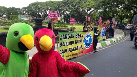 Activists Celebrated Indonesian Parrot Day Calling The Public To