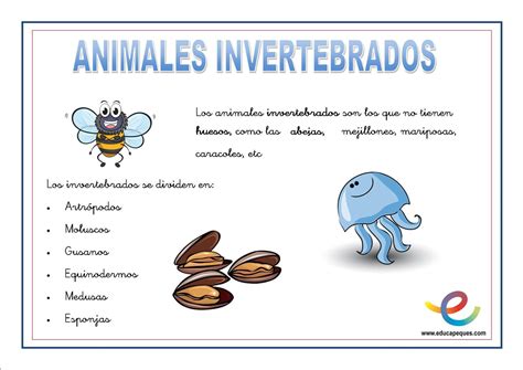Animales Invertebrados Fichas Ciencias Naturales