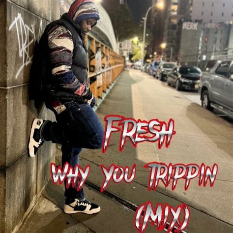 Stream Fresh Why You Trippin Mix By Dj T Fresh Listen Online For