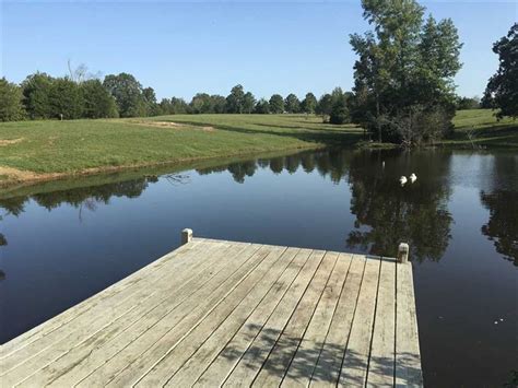 22 Acres 2 Ponds Nice Pastur Land For Sale In Judsonia