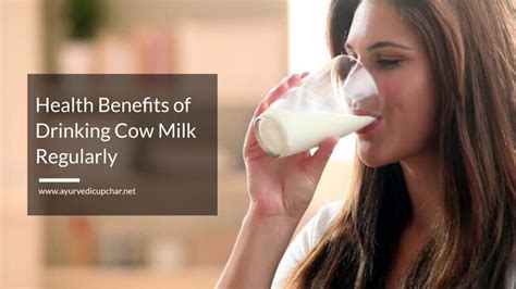 Health Benefits Of Drinking Cow Milk Regularly Ayurvedic Upchar