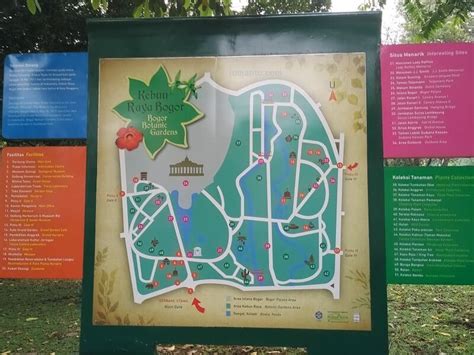 Harga Tiket Masuk Kebun Raya Bogor Hari Sabtu Doylc Asia
