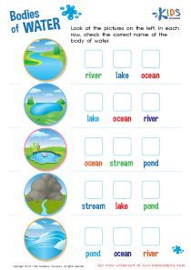 learn bodies  water  worksheet kids preschool kindergarten