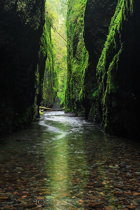 Mossy Gorge A Slot Canyon In A Green Version Taken From C Flickr