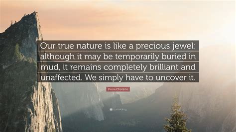Pema Chödrön Quote Our True Nature Is Like A Precious Jewel Although