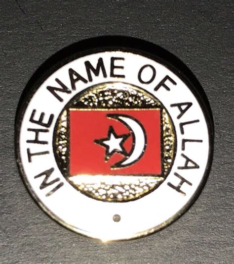 Muslim Nation Of Islam Pin Official Foi Pin Ebay