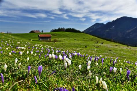 10 Sonnige Frühlingswanderungen Bergwelten