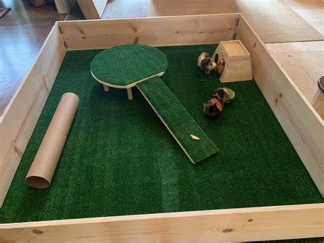 Diy Guinea Pig Play Pen I Made Rguineapigs