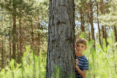 Boy Hiding Behind Tree Trunk Stock Photo Dissolve