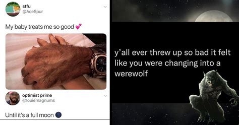 Memebase Werewolves All Your Memes In Our Base Funny Memes Cheezburger