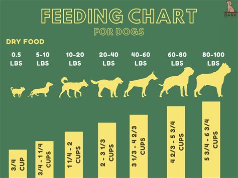 Complete Guide To Understanding How Much I Should Feed My Dog Bark