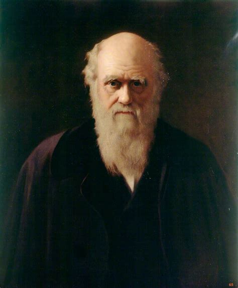 Charles Darwin 18091882 Art Uk