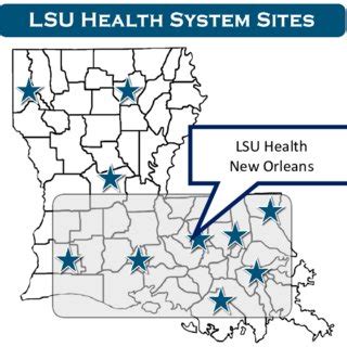 Lsu Health New Orleans System Sites Download Scientific Diagram