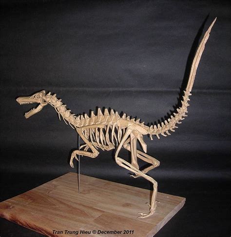 Velociraptor Skeleton 20 Dinosaur Skeleton Dinosaur Origami