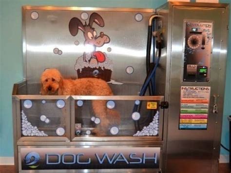 Our stylists offer shampoos, trims, teeth brushing, ear & nail care for your dog. 7 Reasons to Use a Self Service Dog Wash (DIY Dog Wash ...