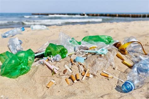 Más Del 70 De Los Residuos Censados En Las Playas Bonaerenses Continúa