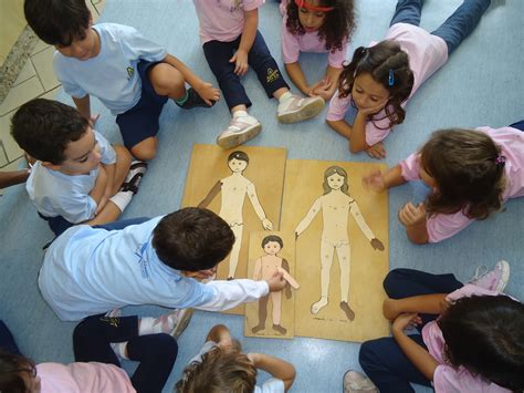 Origem O Estudo Do Corpo Humano Na Educação Infantil