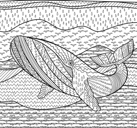 Whale Colouring Page Printable — Thrifty Mommas Tips