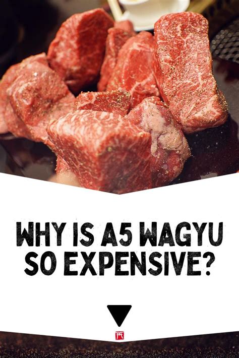 Various related sociological and economical indices calculated for malaysia. The Incredible Price of A5 Wagyu Beef in Japan | Wagyu ...