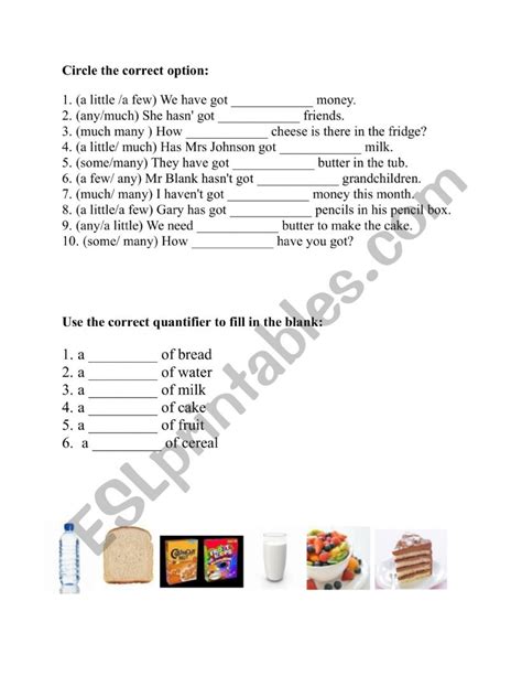 Someany Quantifiers Esl Worksheet By Svetic Lll