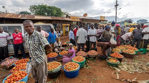 Farmers In Uganda Decry Low Prices Of Vegetables Furtherafrica