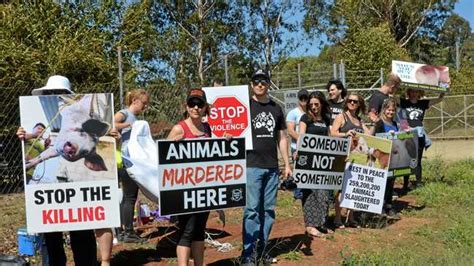 Militant Animal Activists Could Face Jail Time The Courier Mail