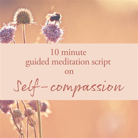 Self Compassion Meditation Script Guided Meditation Etsy