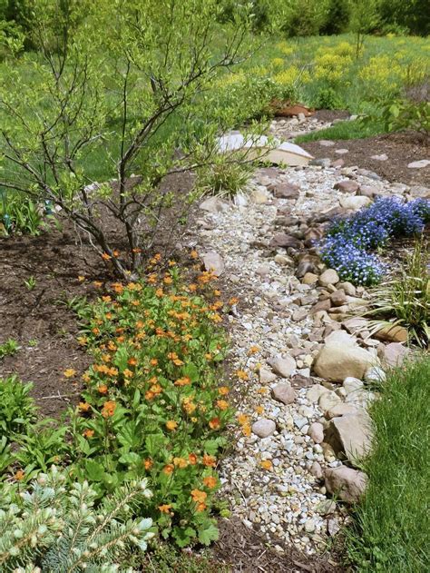 Diy Dry Creek Bed Ideas Backyard Landscaping Indoor Vegetable