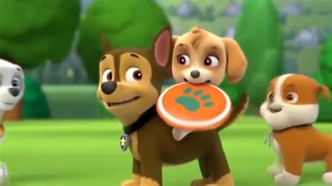 Chase X Skye Paw Patrol Animated Couples Photo 40110258 Fanpop