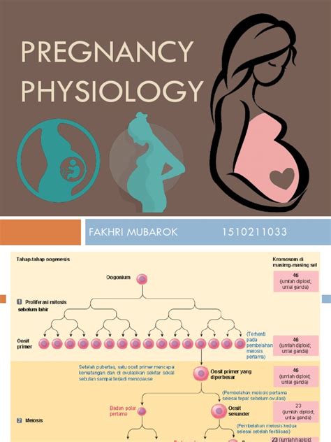 Pregnancy Physiology Pdf