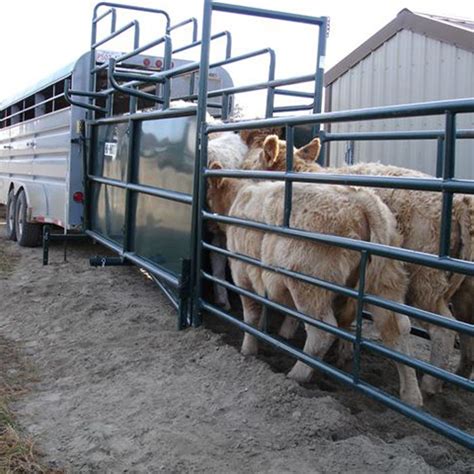 Livestock Loading Chute Hi Hog Hi Stationary Loading