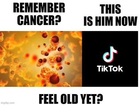 Tiktok Is Cancer Imgflip