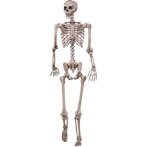 Halloween Skeleton Png Image Png Arts