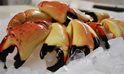Florida Stone Crab Claws Recipe