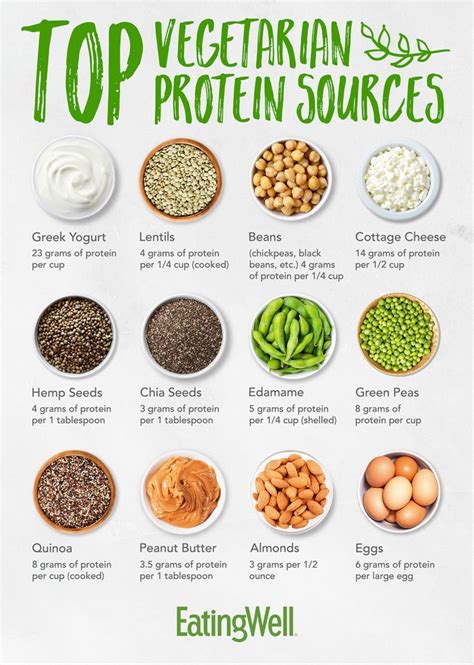 Top Vegetarian Protein Sources Vegetarian Protein Sources Vegetarian
