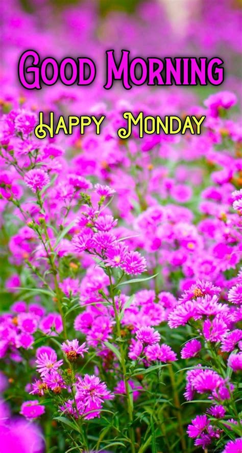 70 Lovable Monday Good Morning Wishes Good Morning Wishes