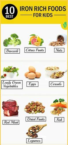 My Plate Poster Chart Science Pinterest Nutrición